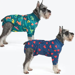 Dog Surgical Suit (2-pack) - Dinosaurs and Hearts