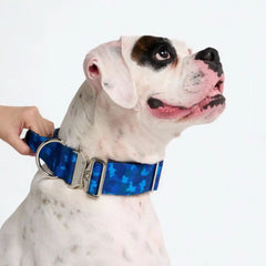 Comfort Control Collar - Blue Camo