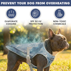 Dog Cooling Vest (2-pack) - Ice Blue & Tropical Storm
