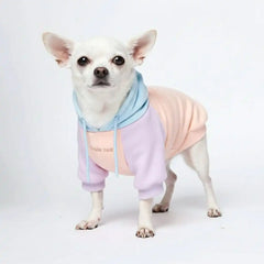 Cotton Candy Dog Hoodie