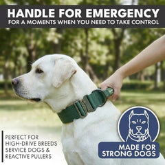 Comfort Control Collar Set - Army Green