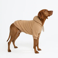 Essential Dog Hoodie - Caramel