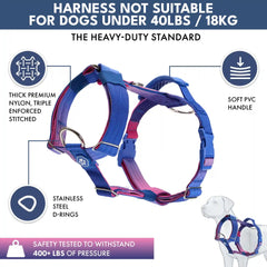 Comfort Control No-Pull Dog Harness and Multipurpose Leash Set - Snow Cone