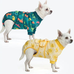 Dog Surgical Suit  (2-pack) - Dinosaurs and Sunshine