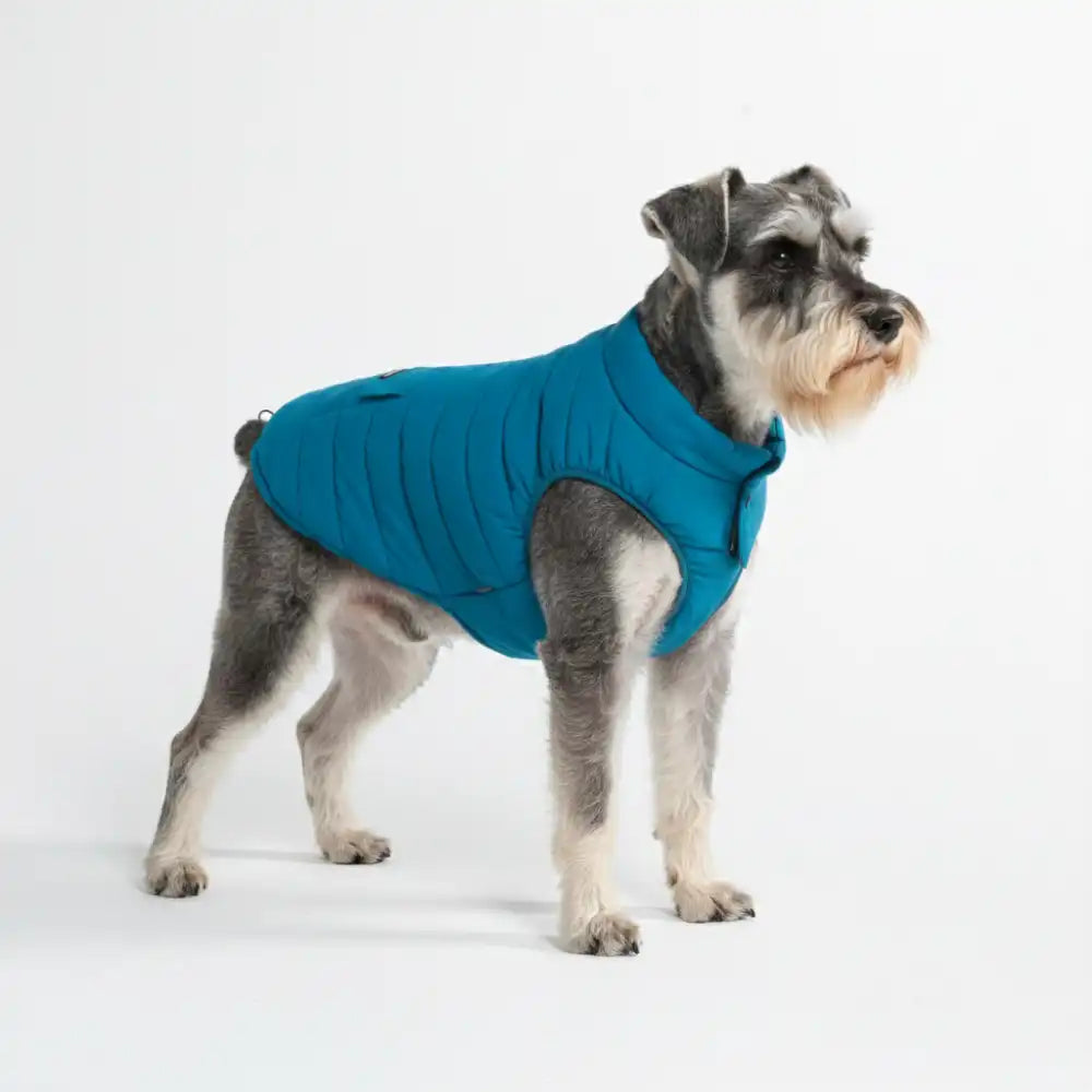 WarmShield Water-Resistant Jacket - Teal