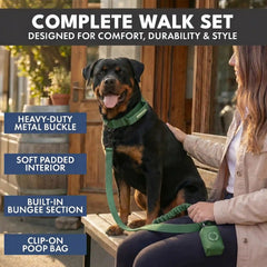 Comfort Control Collar and Multipurpose Leash Set - Green