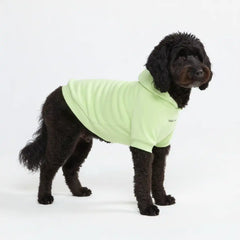 Essential Dog Hoodies