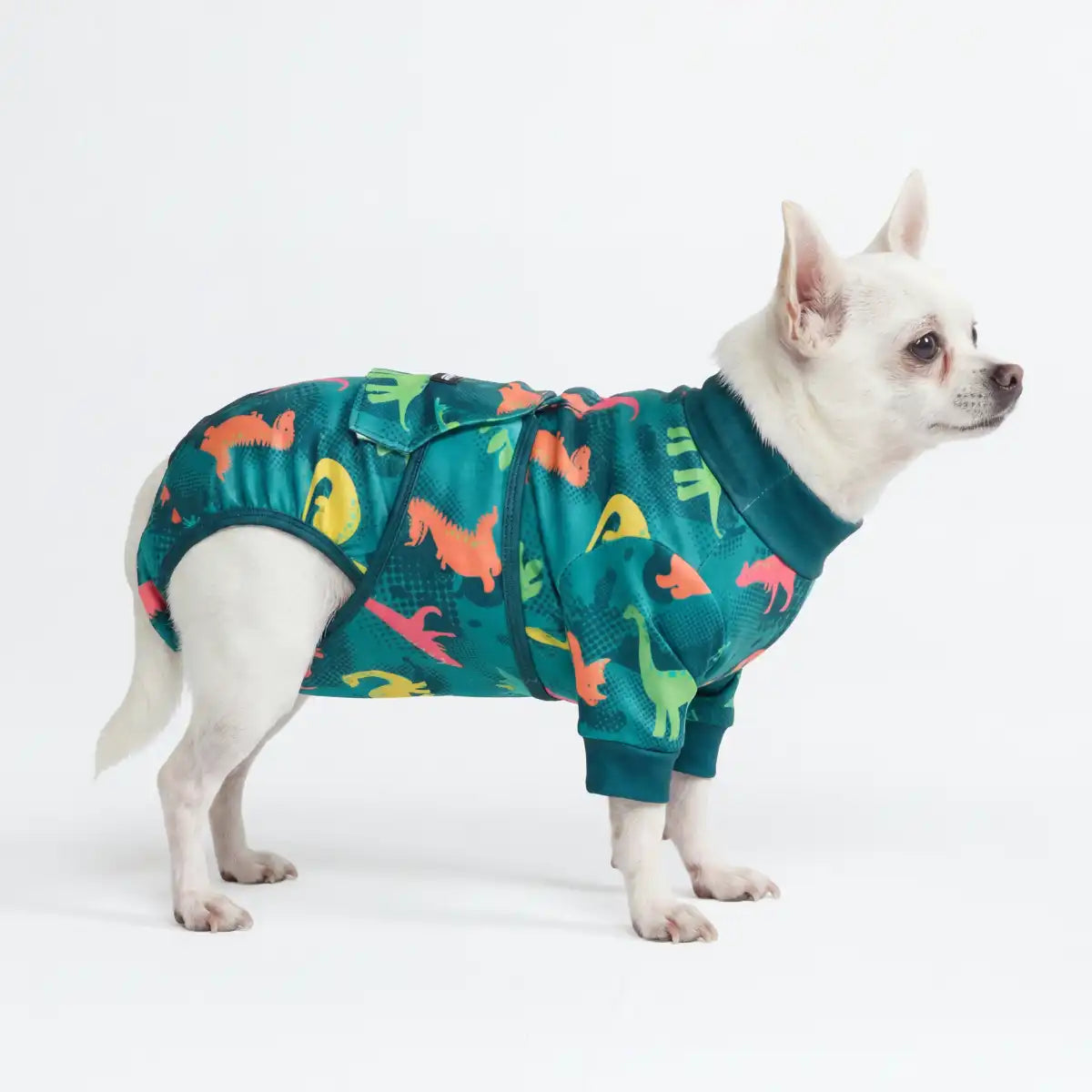 Dog Surgical Suit