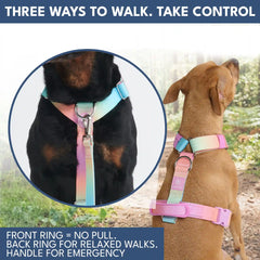 Comfort Control No-Pull Dog Harness and Multipurpose Leash Set - Pastel Icing