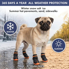 365 All-Season Dog Shoe 4PC Set - Black Orange