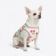 Dog Cooling Vest - Cherries