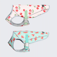 Dog Cooling Vest (2-pack) - Cherries & Watermelon