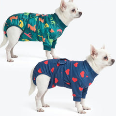 Dog Surgical Suit (2-pack) - Dinosaurs and Hearts