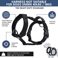 Comfort Control No-Pull Dog Harness and Multipurpose Leash Set - Black