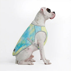 Dog Cooling Vest - Tropical Storm