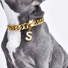 Initial Letter Jewelry Tag - S