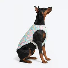 Dog Cooling Vest - Popsicles (2)