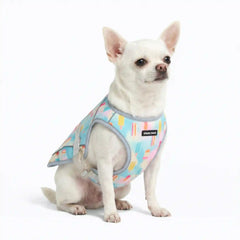 Dog Cooling Vest - Popsicles