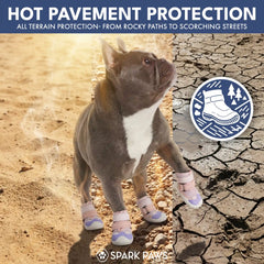 Hot Pavement Pawtector Dog Shoes - Pink Purple
