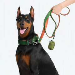 Comfort Control Collar Set - Green Orange