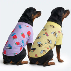 Sunblock Dog T-Shirt (2-pack) - Bees Berries