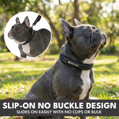 Martingale Collar and Multipurpose Leash Set - Black