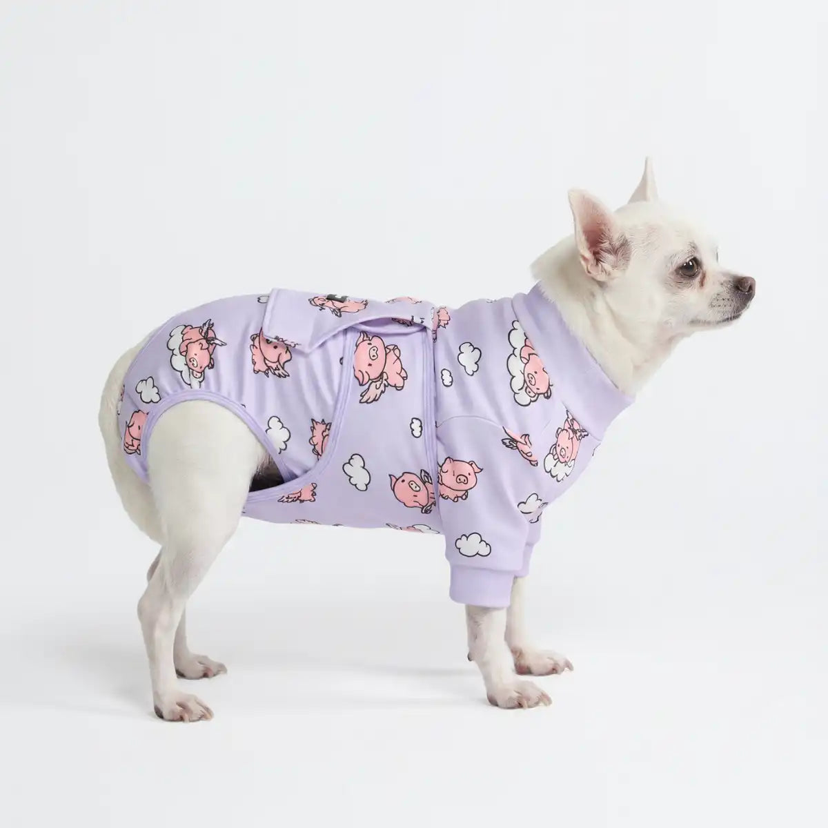 Dog Surgical Suit - When Pigs Fly