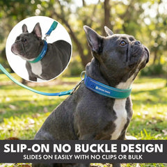 Martingale Collar Set - Lime Wave