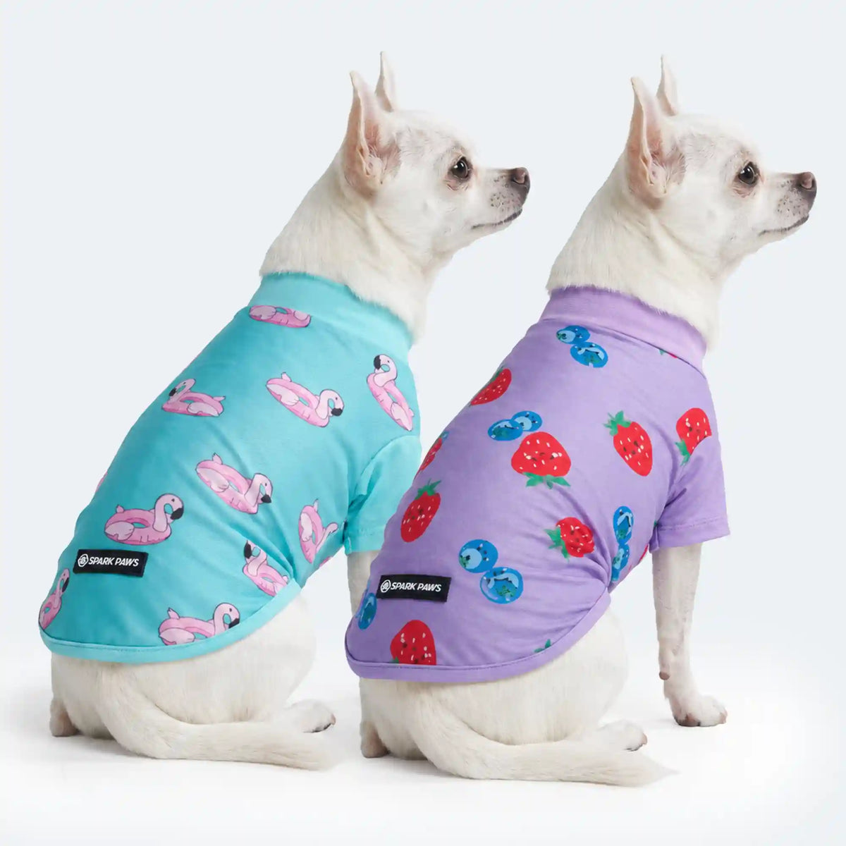 Sunblock Dog T-Shirt (2-pack) - Berries Flamingo
