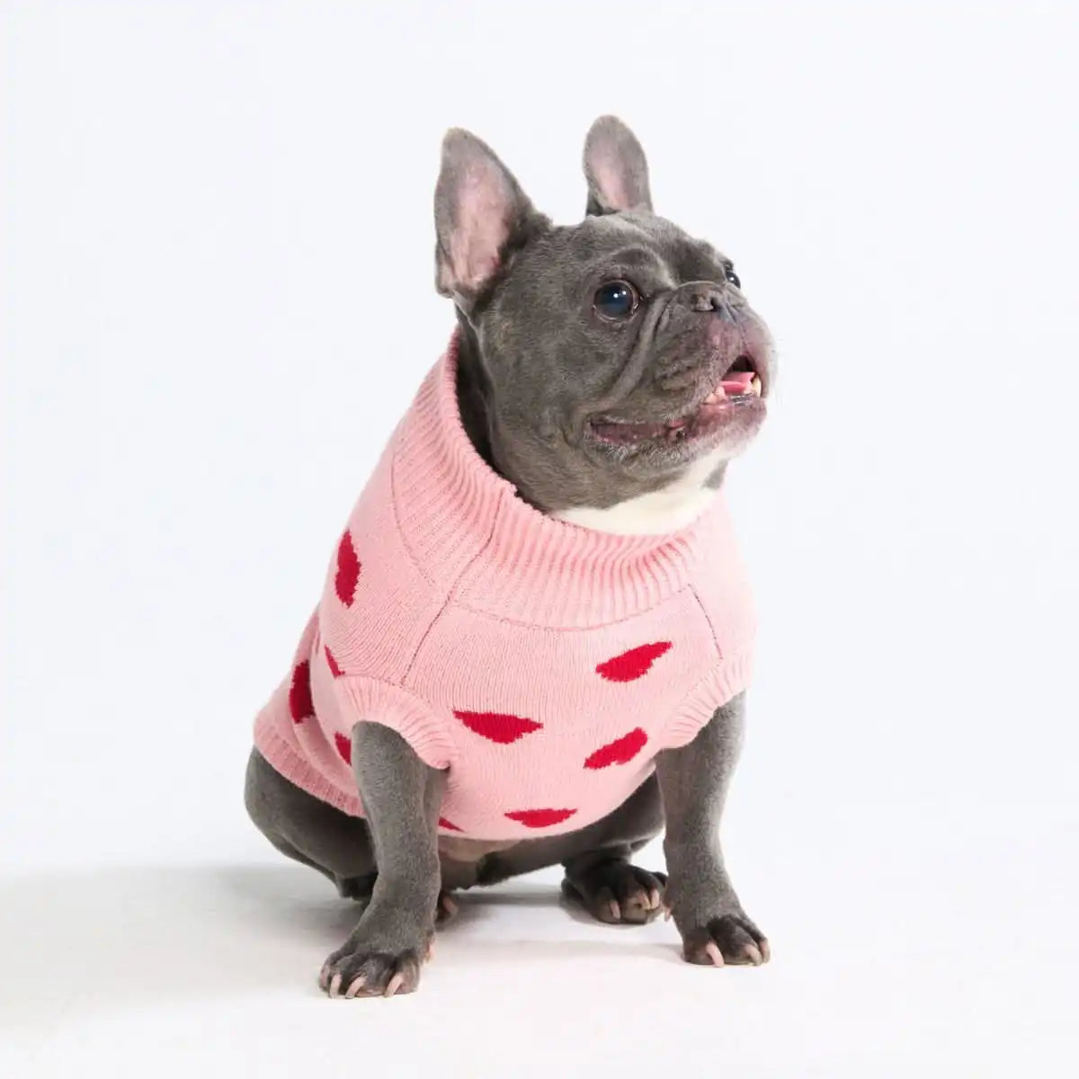 Hearts Knit Dog Sweater