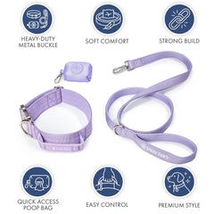Comfort Control Collar Set - Lilac