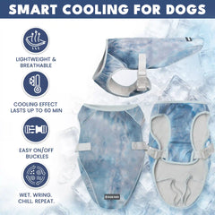 Dog Cooling Vest (2-pack) - Ice Blue & Tropical Storm