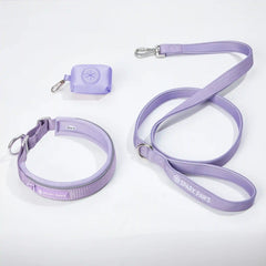 Martingale Collar Set - Lilac