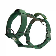 Comfort Control No-Pull Dog Harness - Green