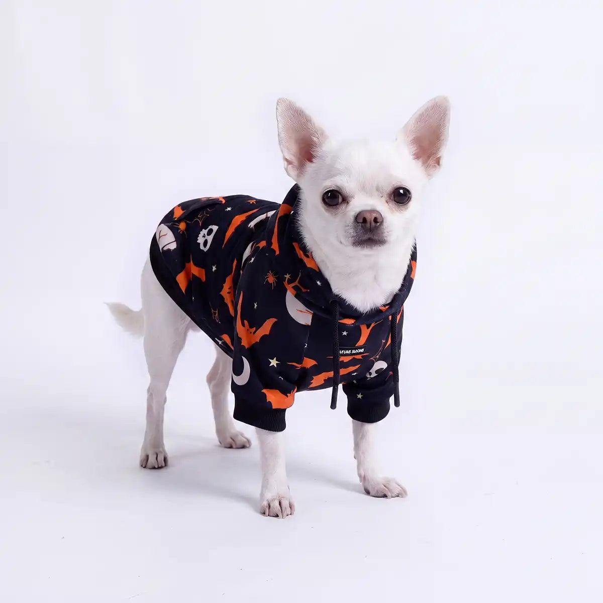 Halloween Dog Hoodie - Black