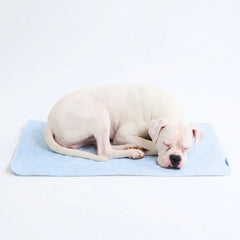 Frostcore™ Cooling Mat