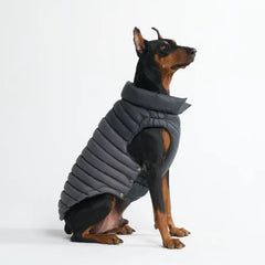 PuffShield Winter Jacket - Black