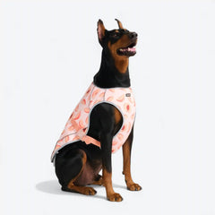 Dog Cooling Vest - Peaches