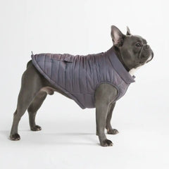 WarmShield Water-Resistant Jacket - Gunmetal Grey