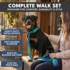Comfort Control Collar and Multipurpose Leash Set - Lime Wave