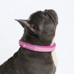 Cushioned Martingale Collar - Pink