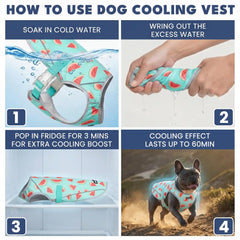 Dog Cooling Vest (2-pack) - Cherries & Watermelon
