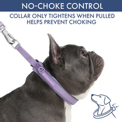 Martingale Collar and Multipurpose Leash Set - Lilac