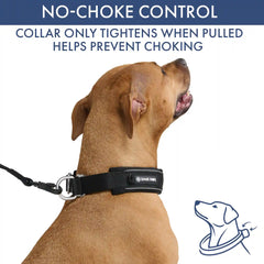 Martingale Collar Set - Black