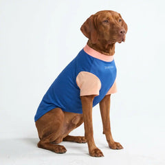 Sunblock Dog T-Shirt - Blue Hawaiian