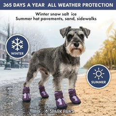 365 All-Season Dog Shoe 4PC Set - Purple