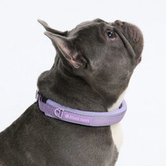 Cushioned Martingale Collar - Lilac