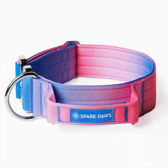 Comfort Control Collar - Snow Cone