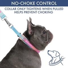 Martingale Collar and Multipurpose Leash Set - Pastel Icing