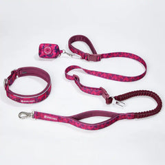 Martingale Collar and Multipurpose Leash Set - Fuchsia Camo